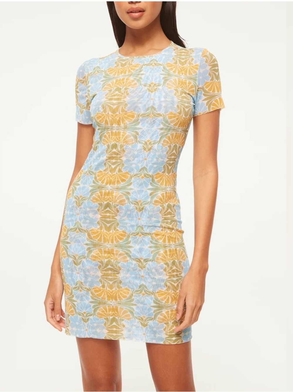 MISA Los Angeles Vina Dress size XS citrus 🍋‍🟩 slice green blue orange white